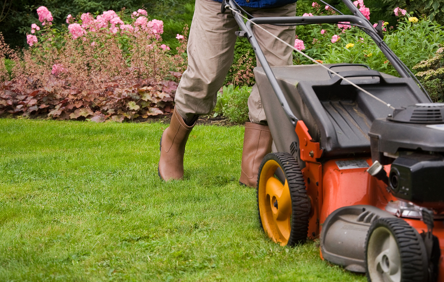 Tuinbestrating laten aanleggen in Barendrecht