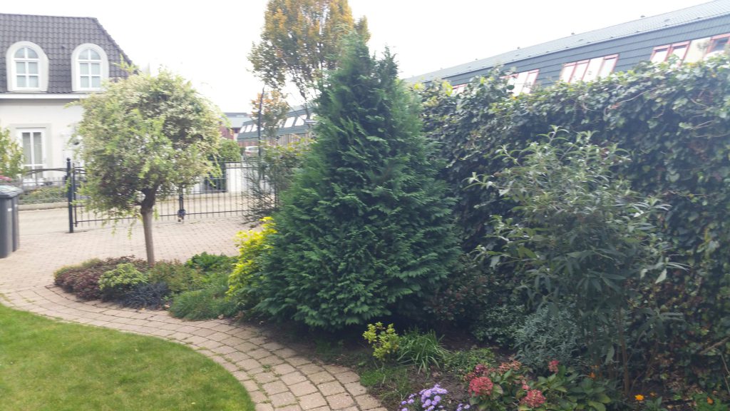 tuinman haarlem